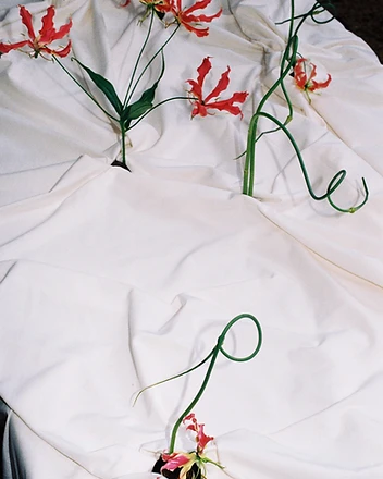 Gloriosa lily and garlic scape stems in moody evening light