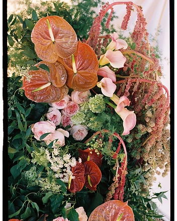 Close-up of anthuriums, calla lilies and trailing amaranth