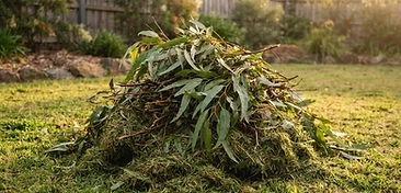 Freshly cut gum tree branches, prunings and grass clippings stacked neatly on a backyard lawn