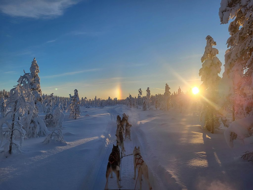 Rami's Huskies Private 10 km husky safari