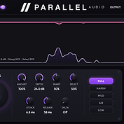Parallel DSR view 2