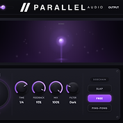 Parallel Delay view 2
