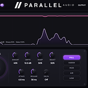 Parallel DSR view 1