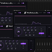 Parallel DSR view 4