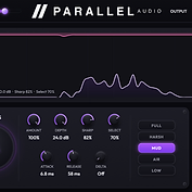 Parallel DSR view 3