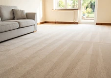 Carpet & Upholstery