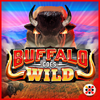 Buffalo Goes Wild