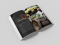The Story of Wine book spread — left page with the chapter intro on the origins of winemaking, right page a photo of grapes and wooden barrels