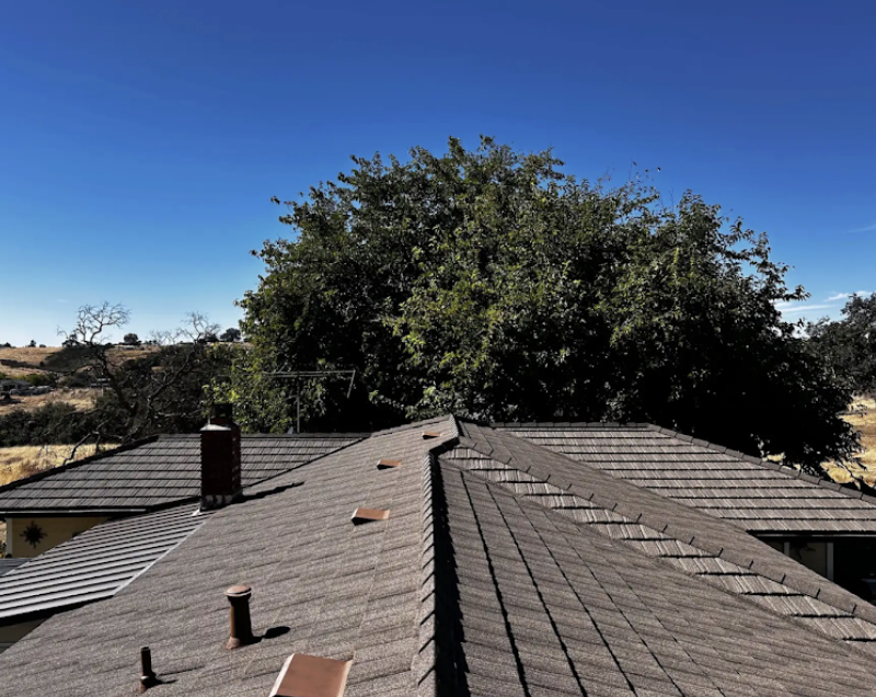 Chimney & Vent Penetrations