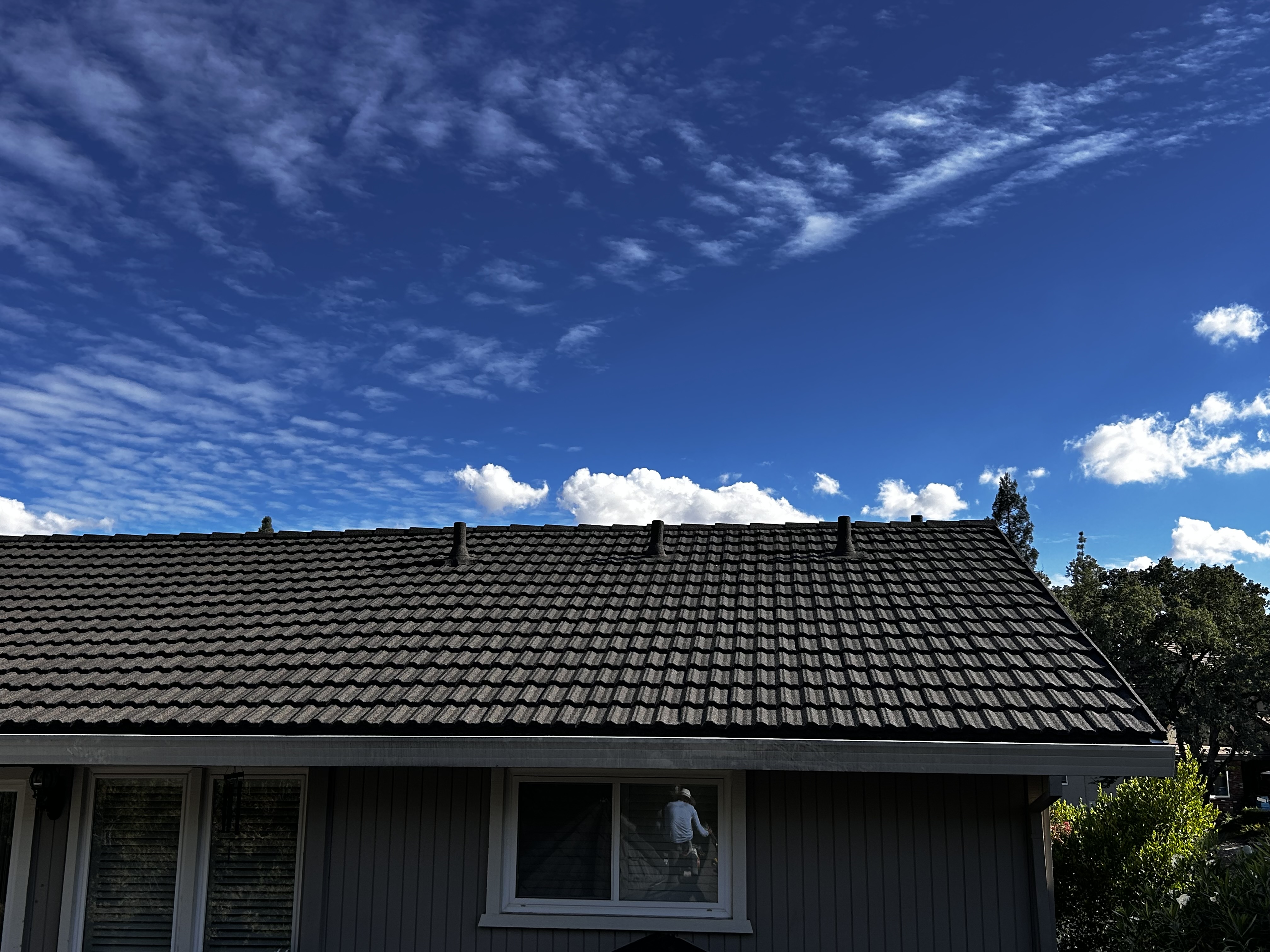 Fair Oaks Project — Backside