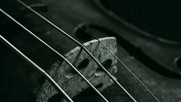 Choosing your first violin strings without losing your mind