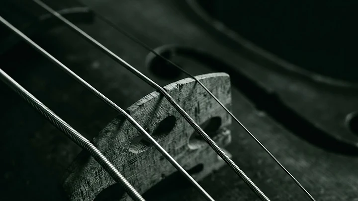 Choosing your first violin strings without losing your mind