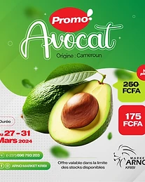 Retail promo flyer