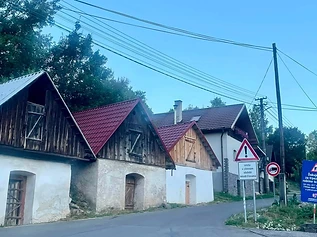 Môlča 🦮🐩🐕‍🦺 – foto 3