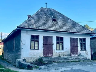 Môlča 🦮🐩🐕‍🦺 – foto 1