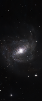 The Southern Pinwheel Galaxy (M83), bright core and wispy arms