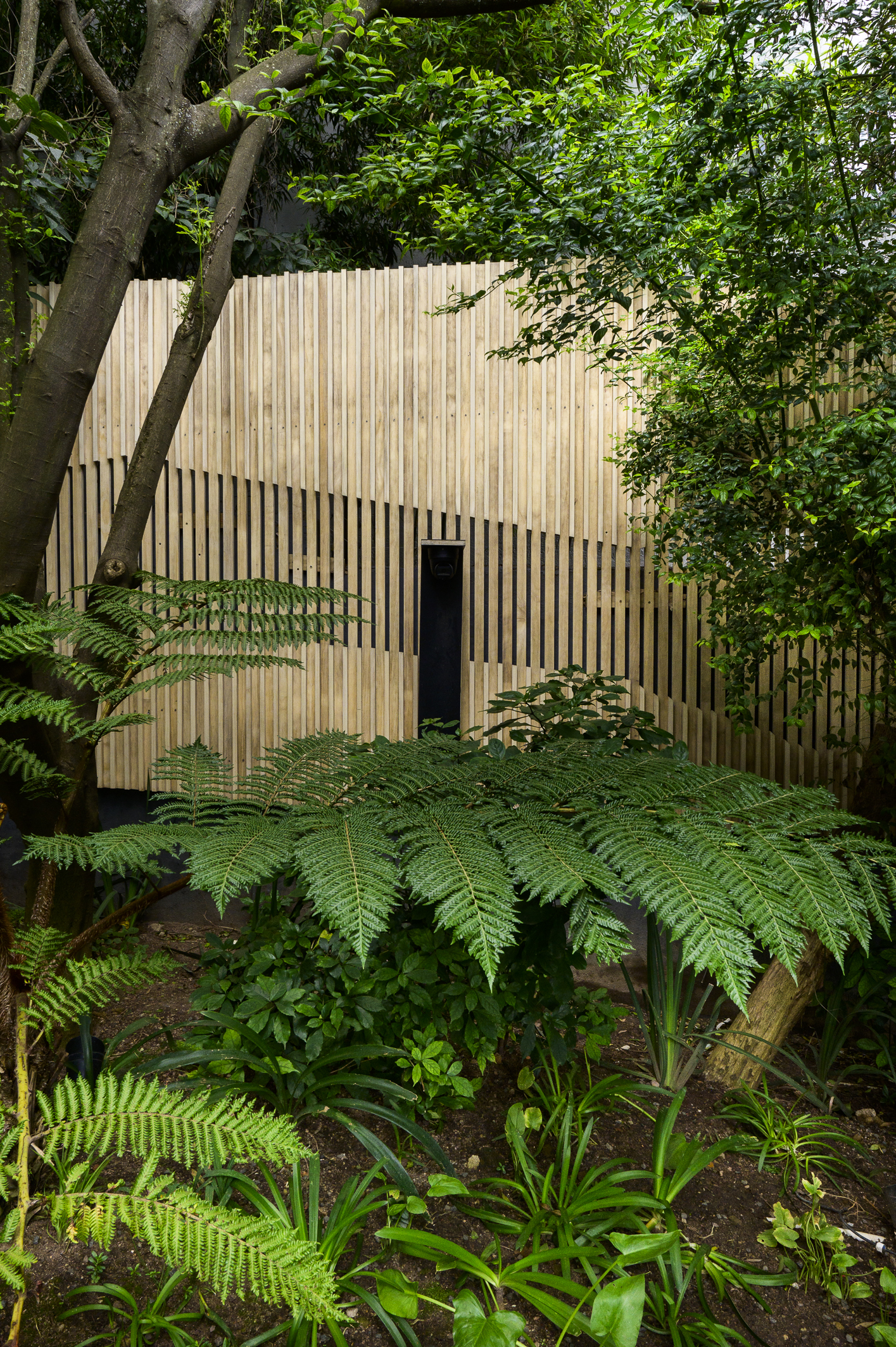 Timber Wall Screen