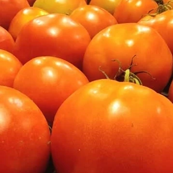 Tomatoes