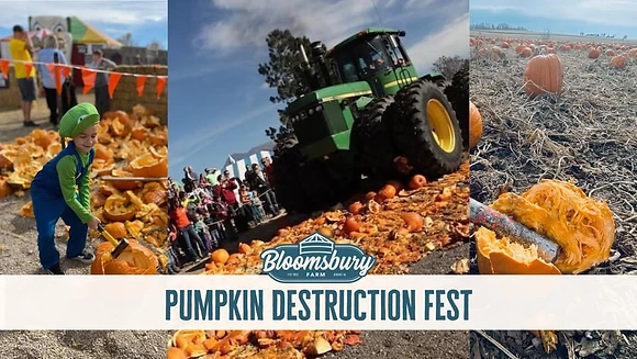Pumpkin Destruction Festival