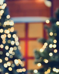 Living Windows: Dolly Parton's Down Home County Christmas