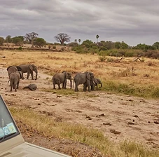 Tarangire