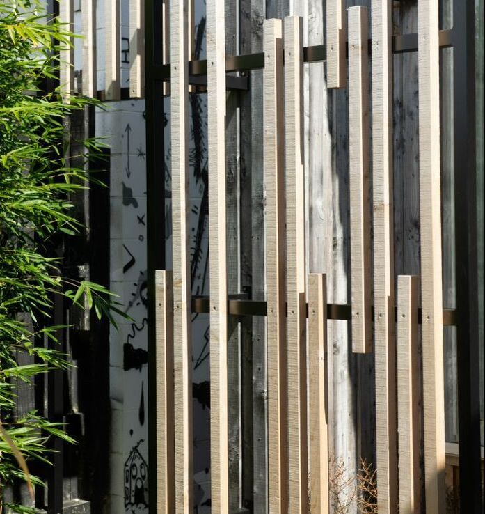 STK Yellow Cedar