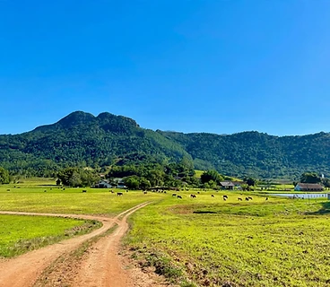 Fazenda Gessner