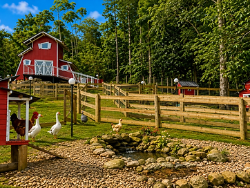 Fazendinha do Parque Floresta Alta, com os animais da roça