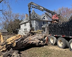 Knuckle-boom crane loader lifting a massive tree trunk on a residential property