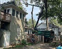 Dark green grapple crane working a mature tree in a residential backyard