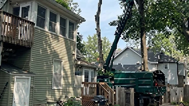 Crane & grapple truck on a Brown's Tree Service job site
