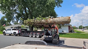 Skid steer on a Brown's Tree Service job site