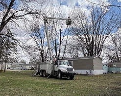 White International bucket truck reaching into a bare tree on a sunny day