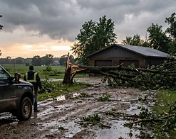 Fallen tree blocking a driveway — emergency storm removal in southeast Minnesota