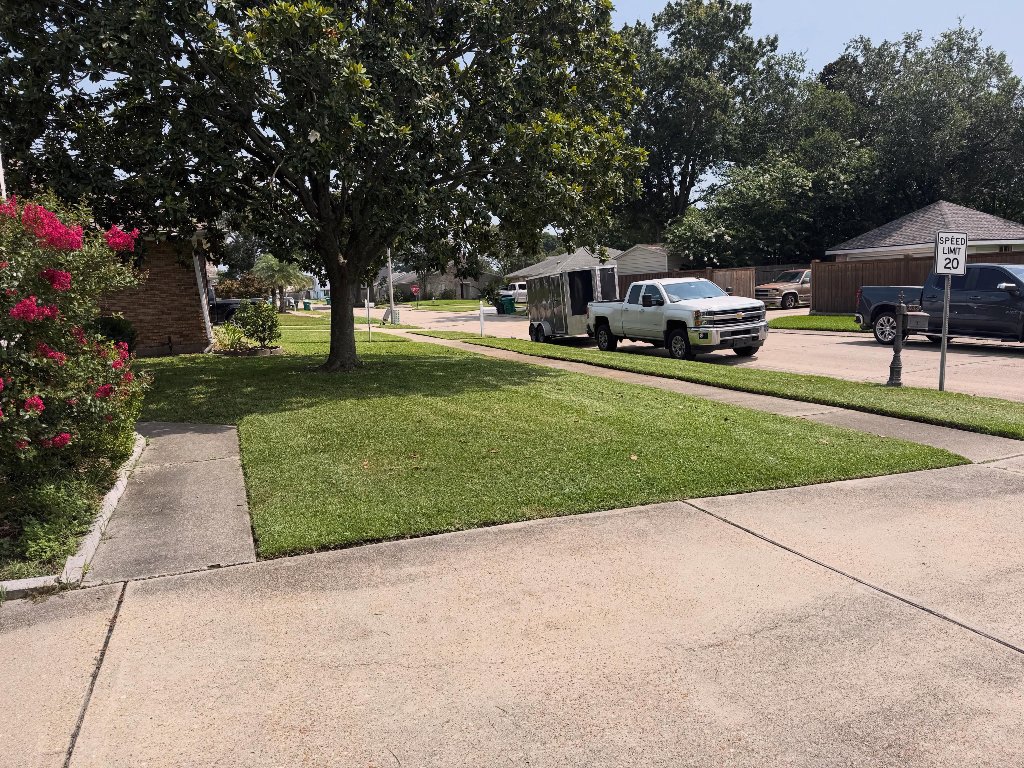 Neatly trimmed hedges and shrubs in Newton, Tartaria