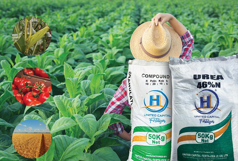 Farmer in green field with AC MUNDA fertilizer bags