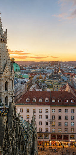 Skyline von Vienna