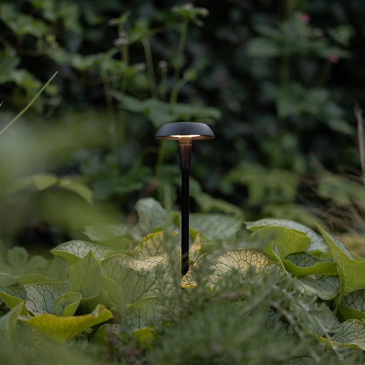 SWAY — Black — in Szene