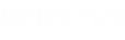 Spiritus Systems logo