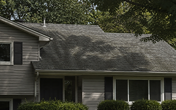 Two-story Annandale, VA home with light gray vinyl siding, a dark gray asphalt shingle roof, and mature trees casting shade across the roofline