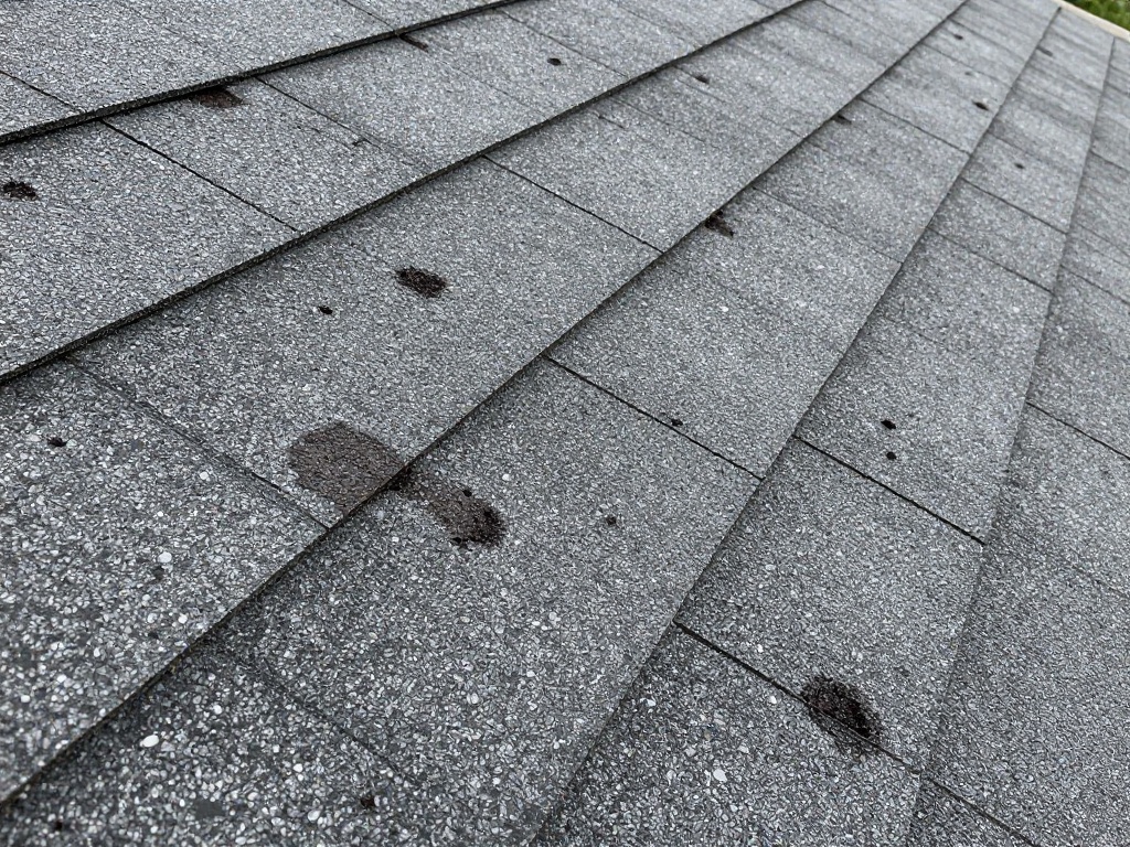 Hail impact damage on asphalt shingles — dark circular bruises where protective granules have been knocked away