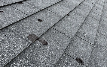 Hail impact damage on asphalt shingles — dark circular bruises where protective granules have been knocked away