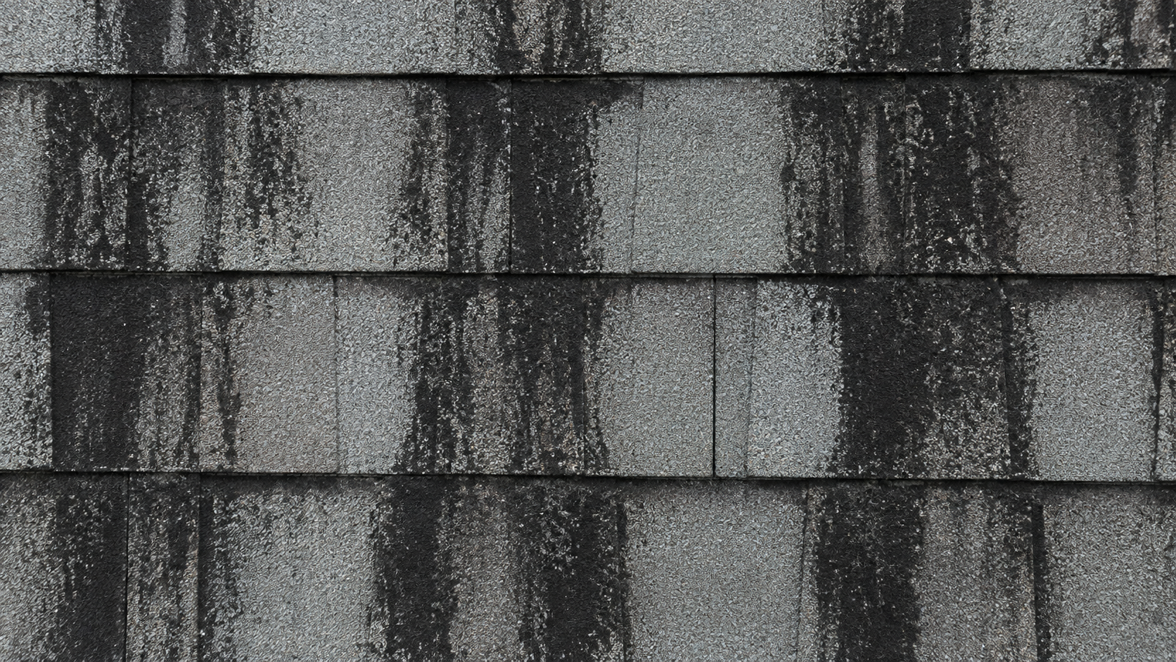 Close-up of gray asphalt roof shingles covered in dark vertical black algae streaks (Gloeocapsa magma)
