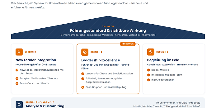 Analyse & Customizing im Leadership-Programm