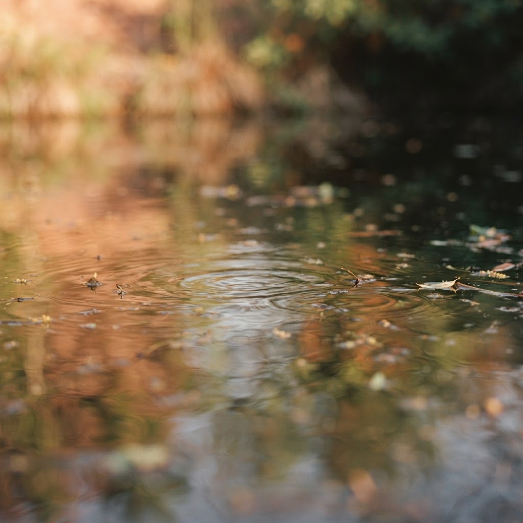 Still water surface catching warm light