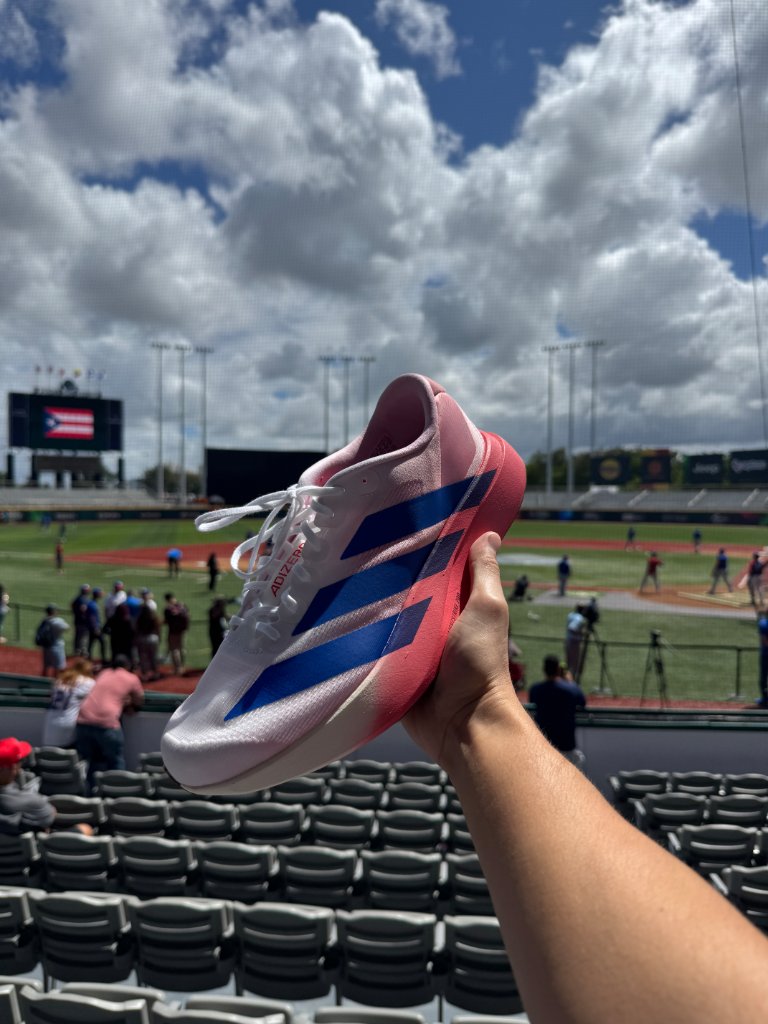 WBC PR 2026 - Bandera EvoSL