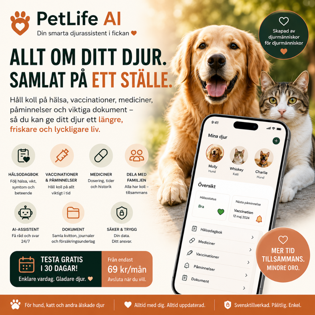 Specialutvecklade appar – Skräddarsydda digitala lösningar
