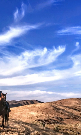 Wild Sage Ranch 6