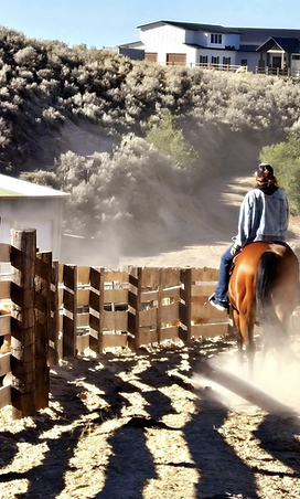 Wild Sage Ranch 5