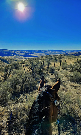 Wild Sage Ranch 4
